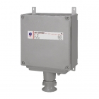 立信  專業(yè)防爆電源防雷箱